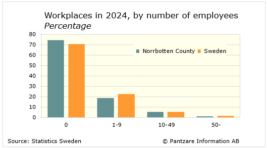 Diagrams bild Workplaces by number of employees