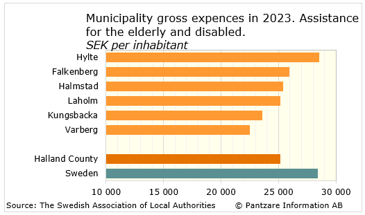 Diagrams bild Municipality gross costs, elderly and disabled