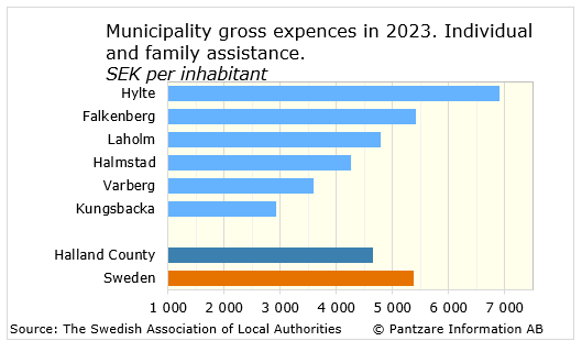 Diagrams bild Municipality gross costs, individual and family 